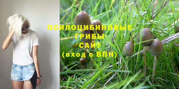 а пвп мука Богданович