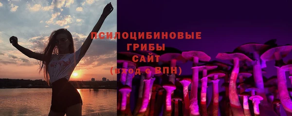 а пвп мука Богданович