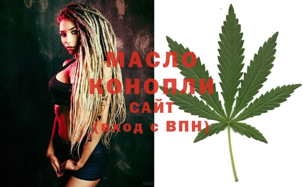 молекула духа Богородск