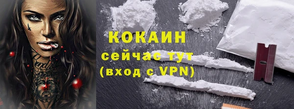 молекула духа Богородск